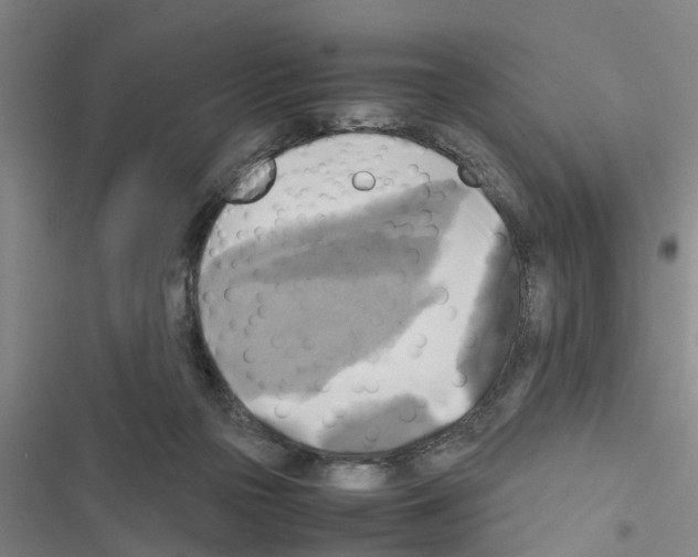 X0000116420169201001191457