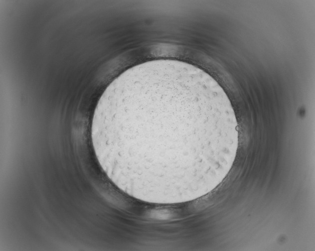 X0000116420171201001191457