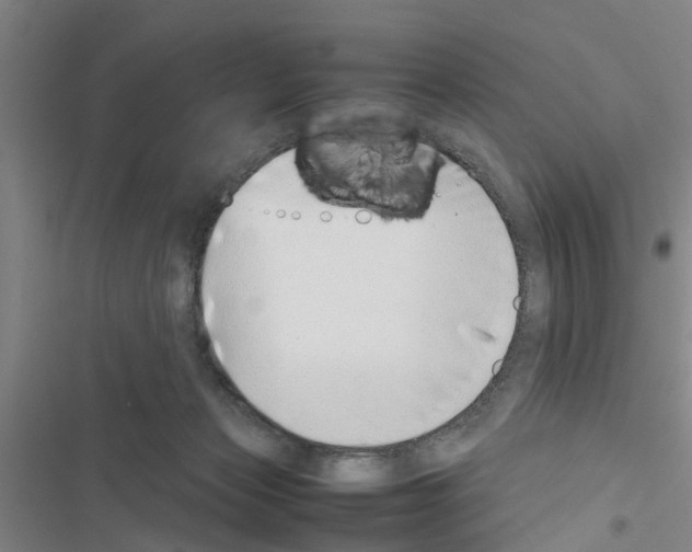 X0000116420173201001191457