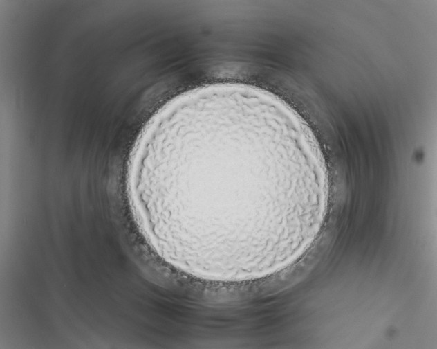 X0000116420175201001191457