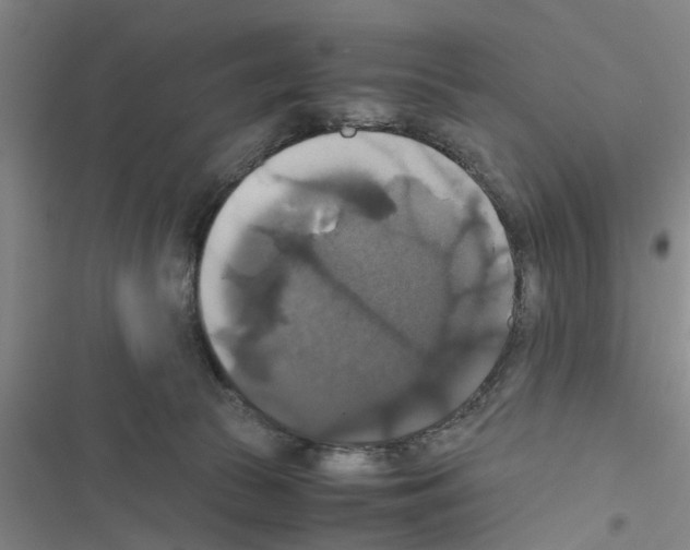 X0000116420177201001191457