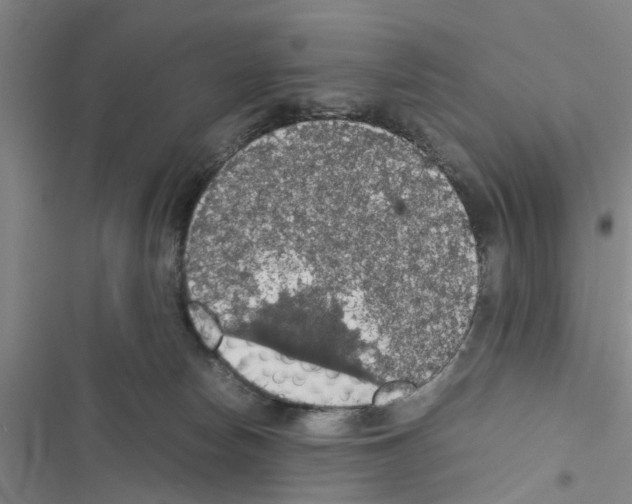 X0000116420178201001191457