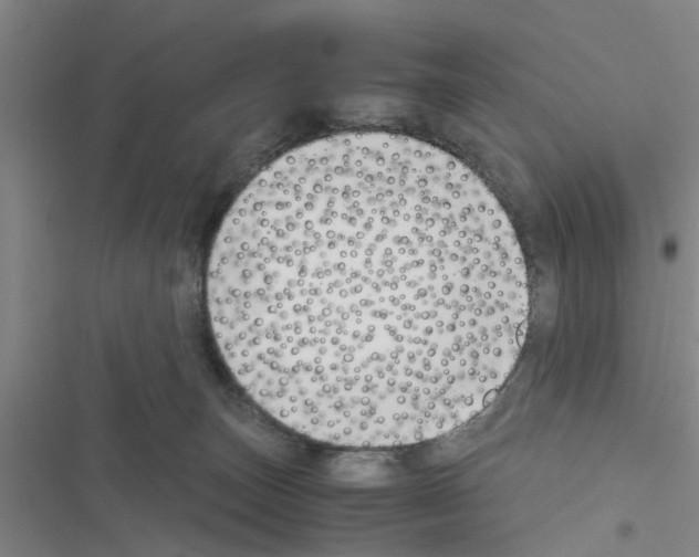 X0000116420179201001191457