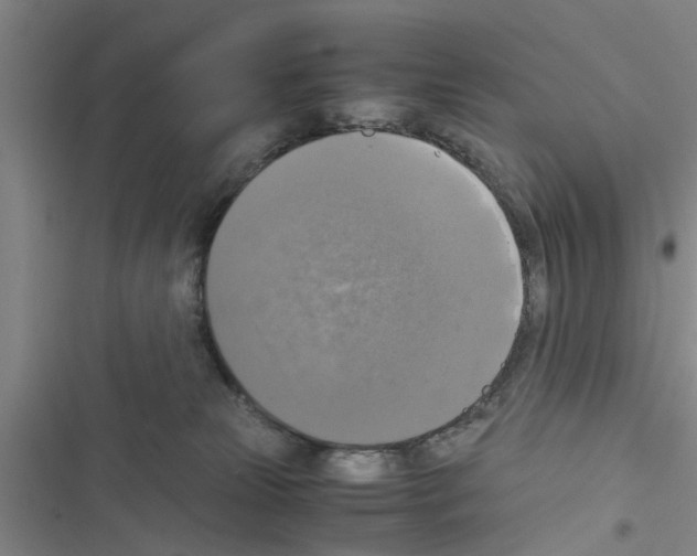 X0000116420181201001191457