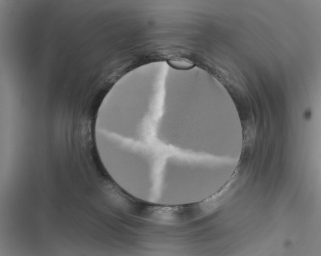 X0000116420182201001191457