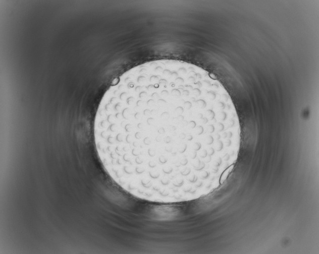 X0000116420183201001191457