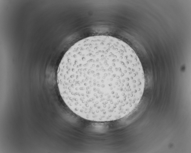 X0000116420187201001191457