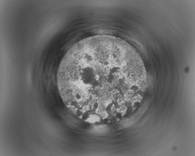 X0000116420189201001191458