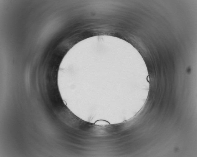 X0000116420190201001191458