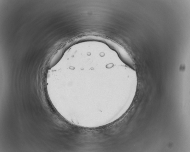 X0000116420193201001191457