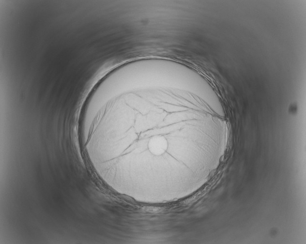 X0000116420195201001191457