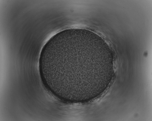 X0000116420196201001191457
