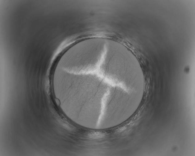 X0000116420198201001191457