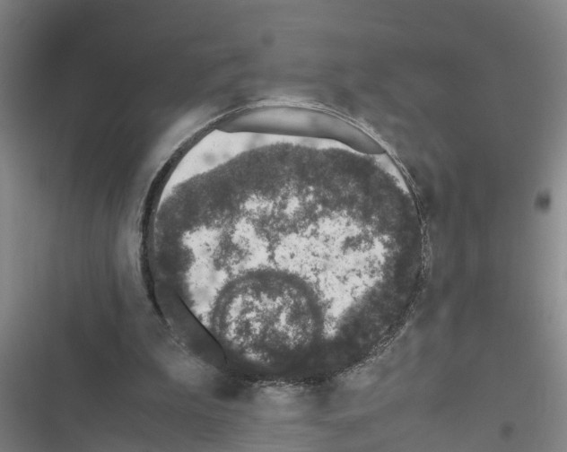 X0000116420199201001191457