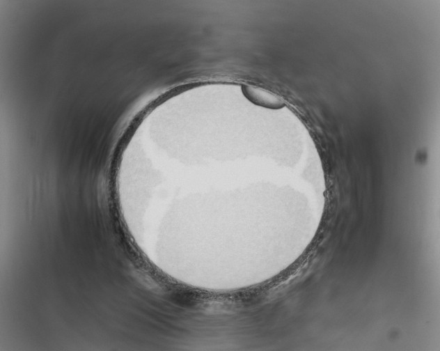 X0000116420200201001191457