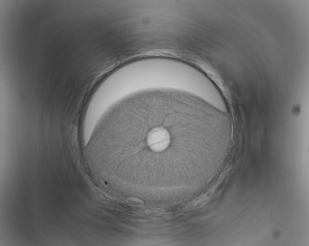 X0000116420201201001191457