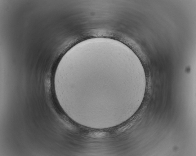 X0000116420202201001191457