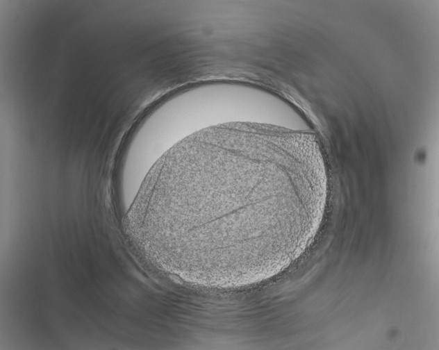 X0000116420203201001191457