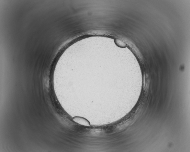 X0000116420204201001191457