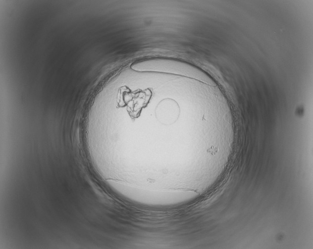 X0000116420205201001191457