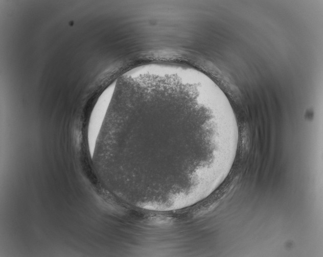 X0000116420206201001191457