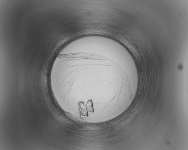 X0000116420207201001191457