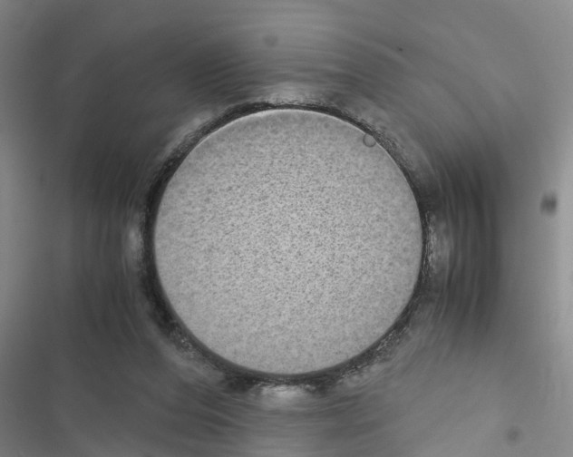X0000116420208201001191457