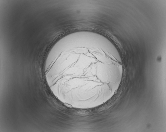 X0000116420209201001191457