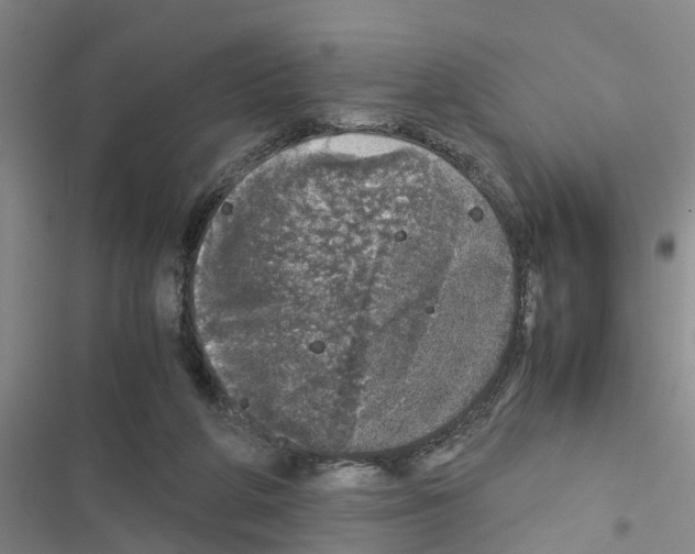 X0000116420210201001191457