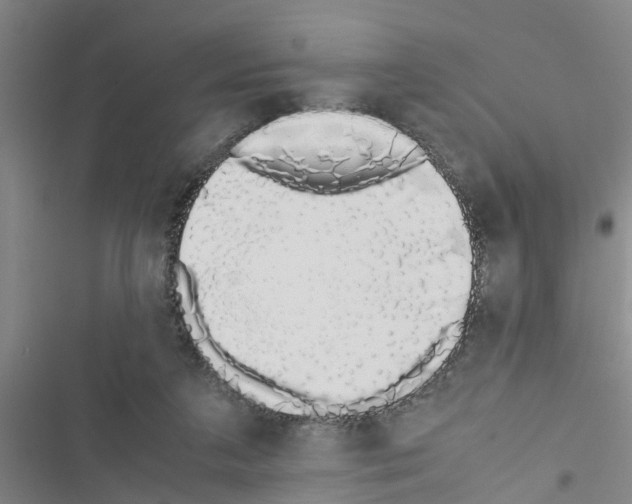 X0000116420211201001191457