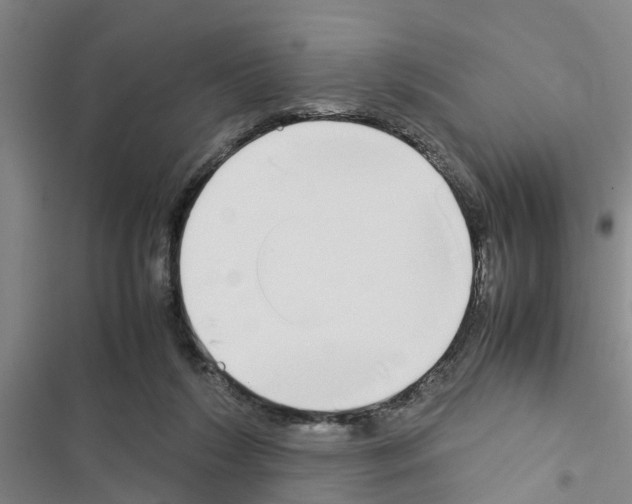 X0000116420212201001191457