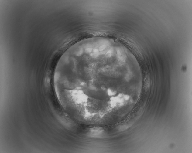 X0000116420214201001191457
