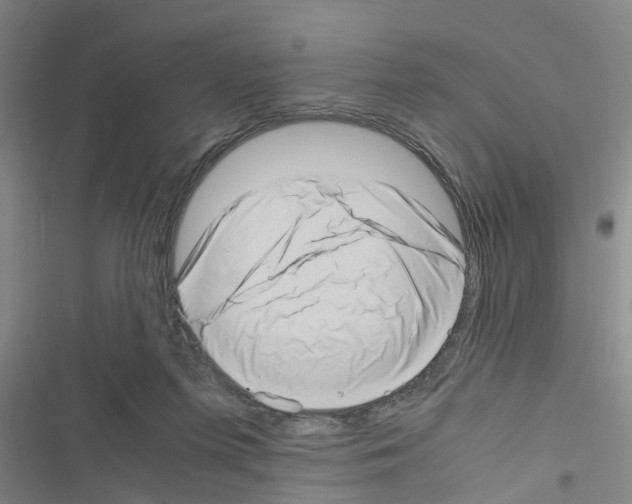 X0000116420215201001191457
