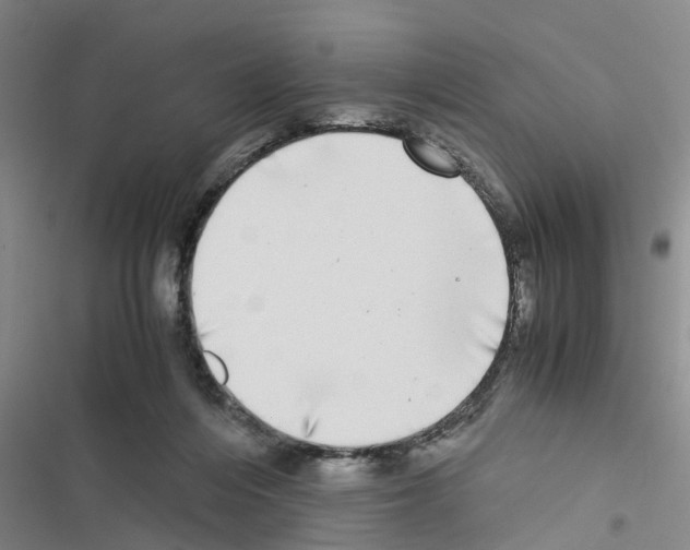 X0000116420216201001191457