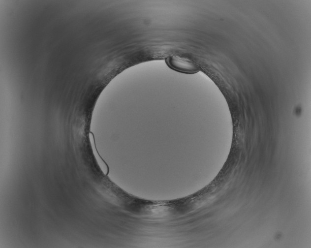 X0000116420219201001191457
