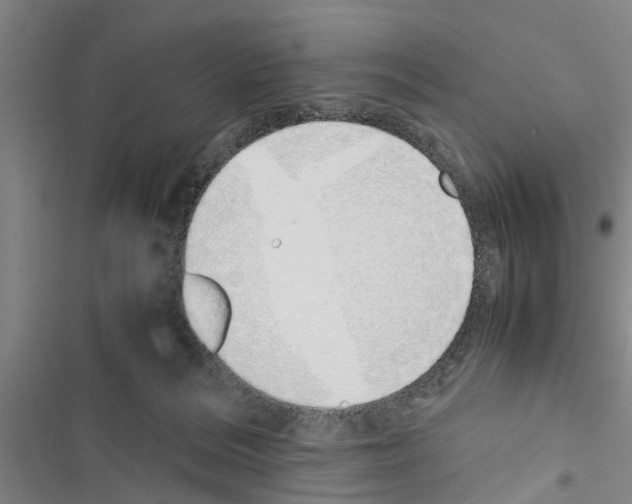 X0000116420220201001191457