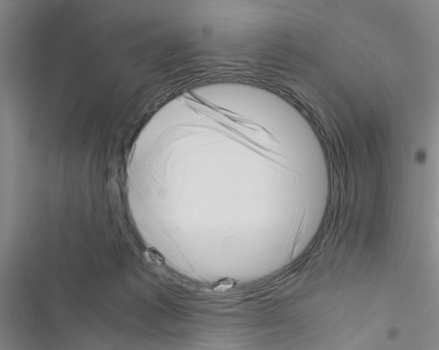 X0000116420221201001191457
