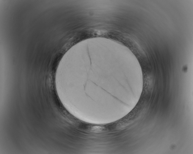 X0000116420222201001191456