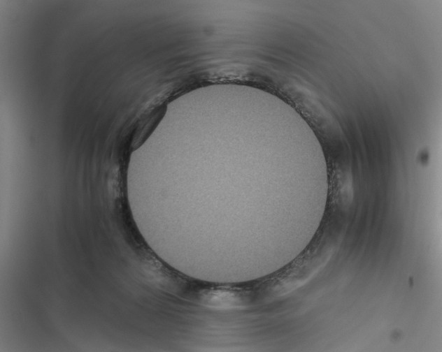 X0000116420224201001191456