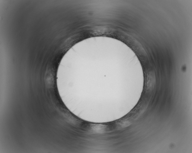 X0000116420226201001191456