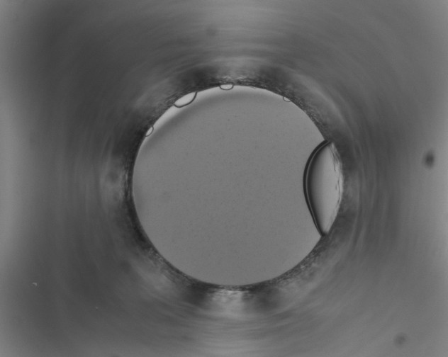 X0000116420227201001191456