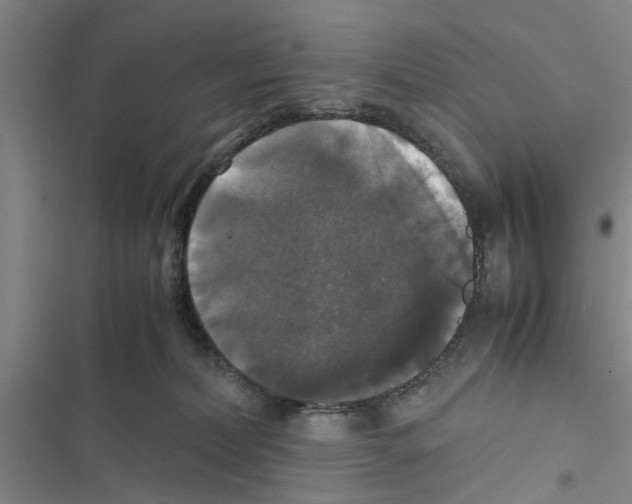 X0000116420228201001191456