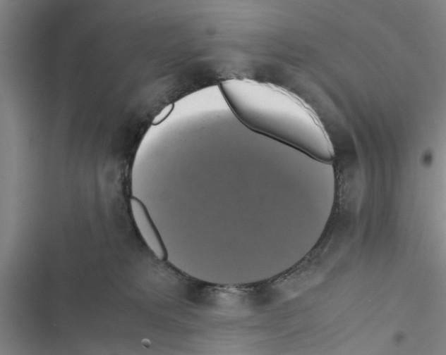 X0000116420229201001191456