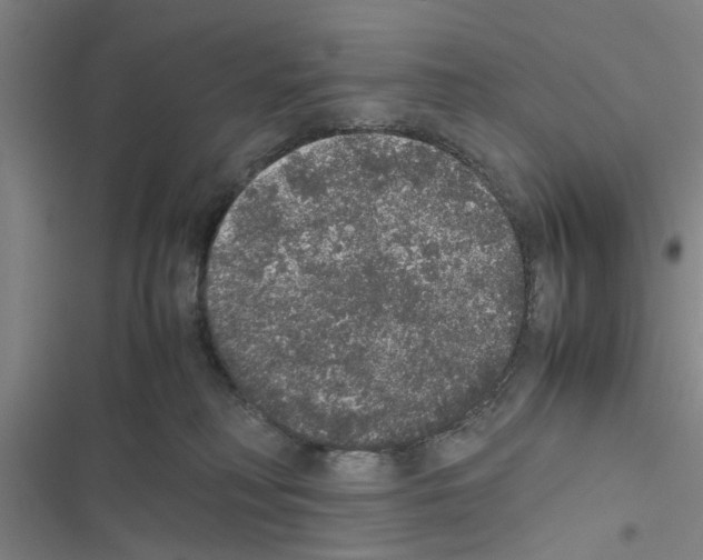 X0000116420230201001191456