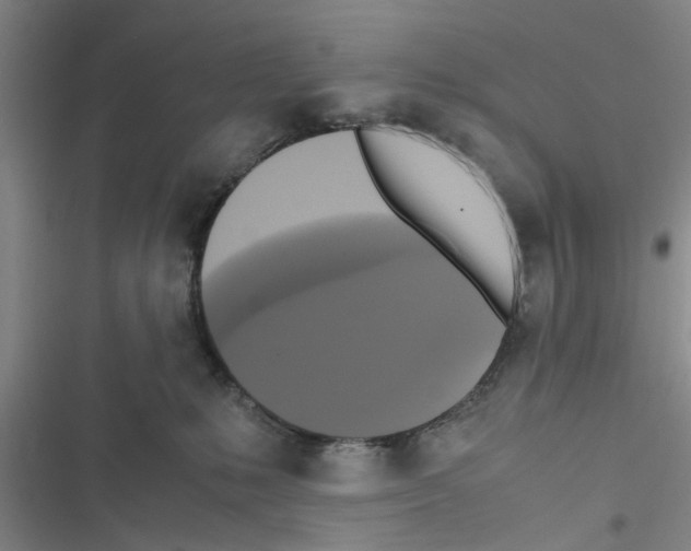 X0000116420231201001191456