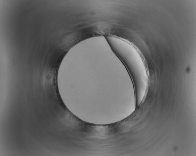 X0000116420233201001191456