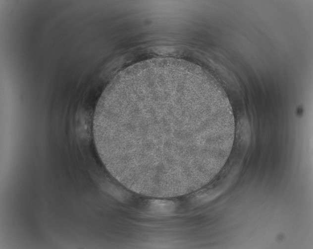 X0000116420234201001191456