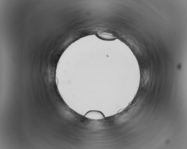 X0000116420236201001191456