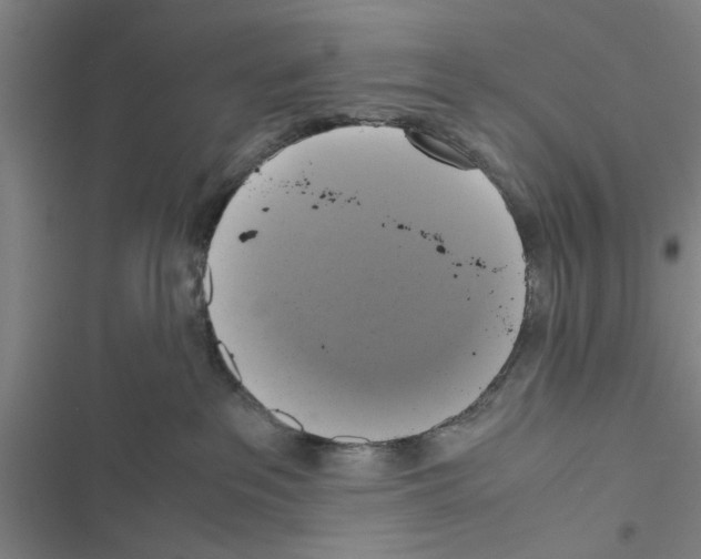 X0000116420237201001191456