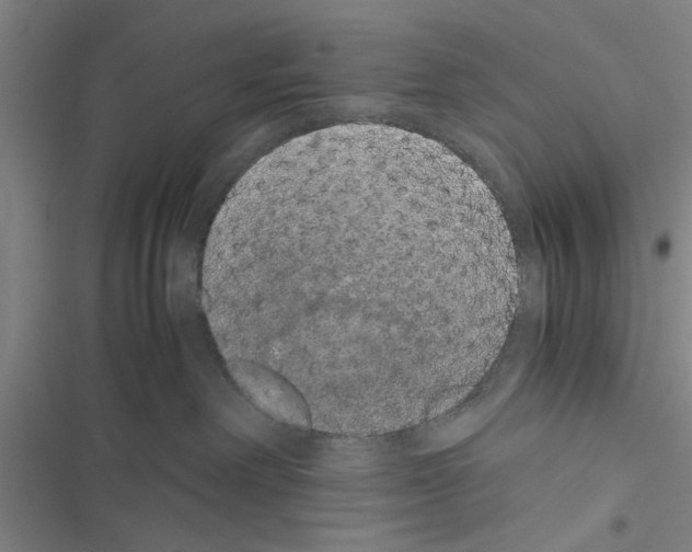 X0000116420238201001191456